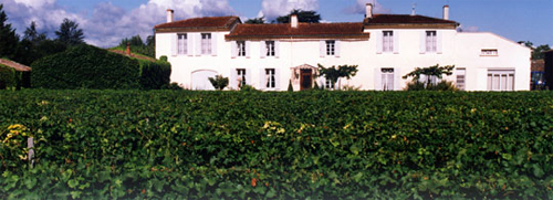 Chateau Simon - Barsac - (Francia)